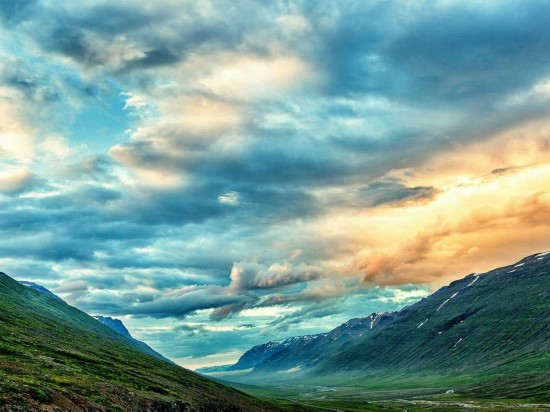 ��ͷ�³������׵�����������Ӱʦ����Ȼ���Ϊ���������ǻ�ɫ��̦޺�����ڵ��ٲ������Ǳ�����ӳ���µı���ɽ���������˻�����������һ������