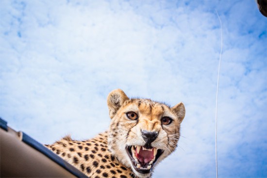 ����С�ȱ������ο��������������ܽӴ�����������������ױ��ġ�������̽�ա����������������С�Ա���һ����������дʱ��С�ױ�������˿������˼һ����¶�����ݣ�˻˻�ؽл��������ɰ����ˡ�