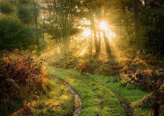 ��Ӱʦ��׽�����������մ������һ��������¬��˹��Ӱ����--����֮���ˡ�����Ӱ��Ʒ��ץ�ĵ�����ԡ�������µķ羰��ɢ������ů�Ĺ�â�������������������6����Ƭչ����Ӣ�����أ����������׵����Ŀ�ŵ�˺Ͷ����ؿ��Ĳ���²����������յĻ��档