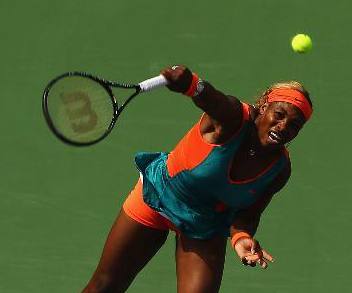 ���ṫ������С������