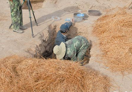 �½�������ԪǰС���½���³��ѧ�о�Ժ1�ն���ƣ���Ժ���й���ѧԺ���Э�飬����³��ʤ����ĹȺ������3100����ѡ�