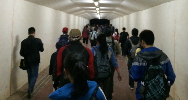 ���ݰ���ٹ��ﱩ�߼�2014���ڰٹ���ͽ���������������ݰ���ɽҩ����Ȼ��Ȼ����������