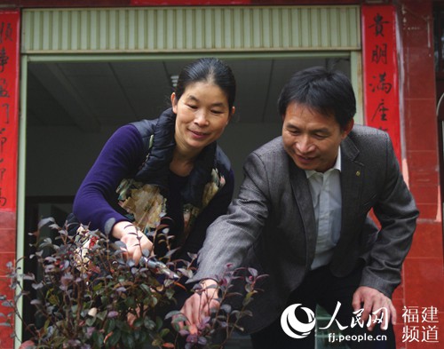 �����㡢����˳��ͥ������ͥ���������͵ļ�ͥ����