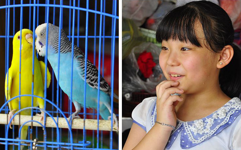 ȥ��9�£�С������̴ӻ����г�������ֻ���ģ���Ȼ����ʲô�ǰ���������С������Ϧ���С����ǡ���С�껹�ǲ�����˼��������ͷ��