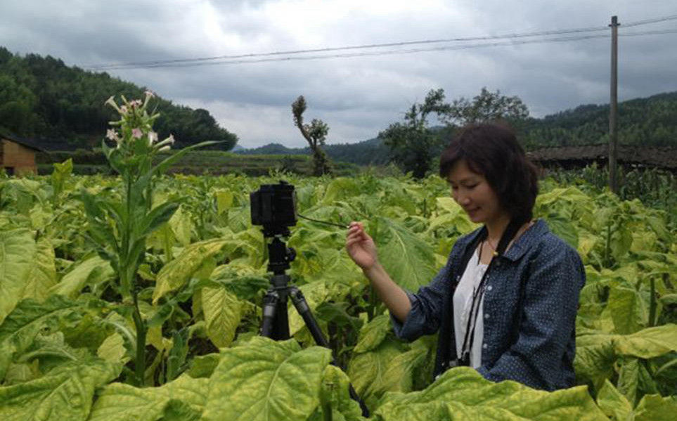 ����5�£�����ʮ��λͬ�в������ɸ����������糤�޽�骷���ġ�����������Ӱ���Ļ��������̡�