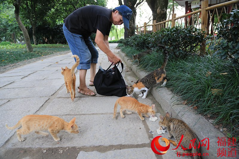 ��1999���Ű��̵�һ����������԰��ιʳ����è�����ڣ��Ѿ�15���ˡ�