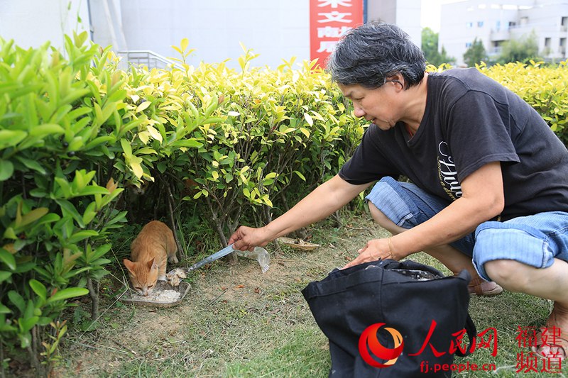 ���ܾ�ȷ����ÿһֻ����è�����Ϸ���