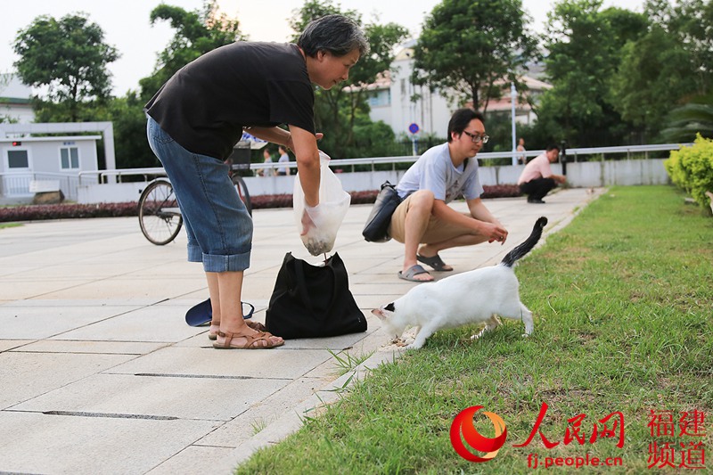 ���Ű��̵Ĵ����£�����Ѿ��в��ٺ����˼��뵽ιè�������С�