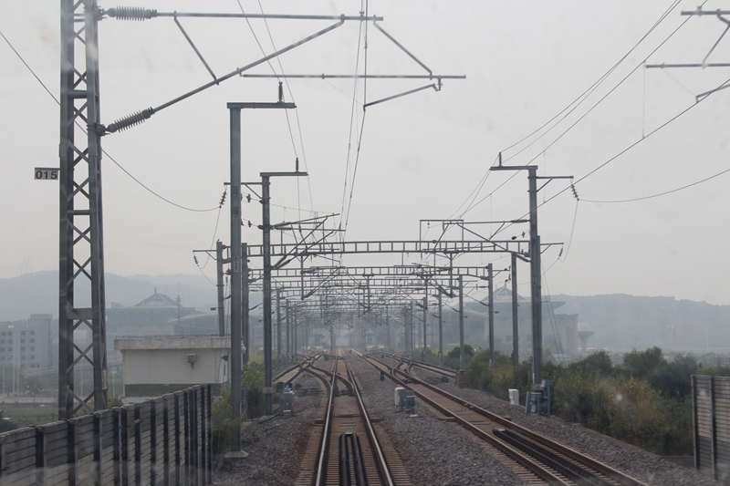 14�����·�����̻���������������Ρ�����ݼ����Ҳ�����������������ź���2004�����죬������ĸ�����ȥ���ˣ�������ȴ�ڸ������е��г��ϣ�û�ܼ����������һ�档