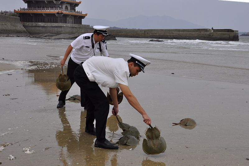 ���ˮ��Ұ������������Ϸ�����