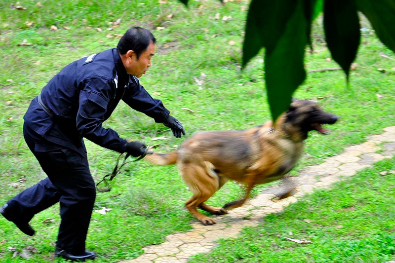 �������β����Ĭ���󣬾�Ȯ�����ƽ����⡣�ƺ�ƽֻҪһ�����ƣ����İ�Ȯ������������������