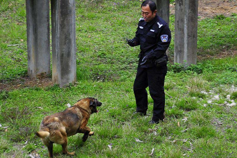 �ƺ�ƽ�Ĺ�ѫȮ��ʶ��ʮ���������źš���֮�ദ�ﵽĬ���̶ȣ��򼸺�ͨ�����⡣