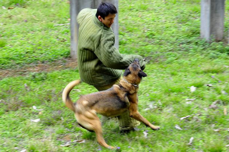 ����ͽ���Ȱ��׵�����ºܿ�ͱ���������׷����