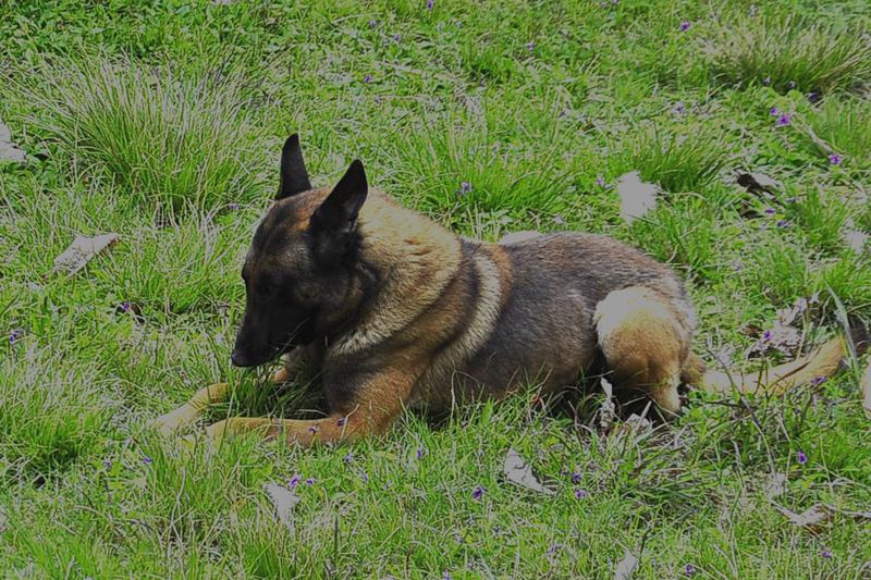 �����£���Ȯ����������׼���ˣ��տ�������