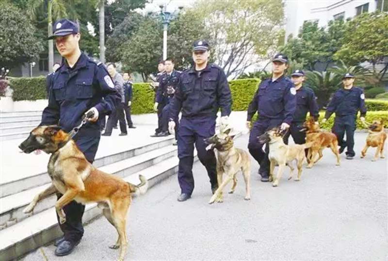  �����й����־�Ȯ�ӣ��ܶ��ǻƺ�ƽ�ġ�ͽ�ܡ�ѵ�������ġ�