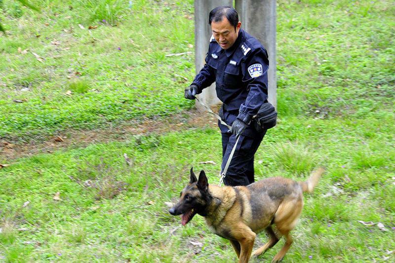 �ƺ�ƽ����ͬ���ǣ����Ĭ���ľ�Ȯ�������е�������������