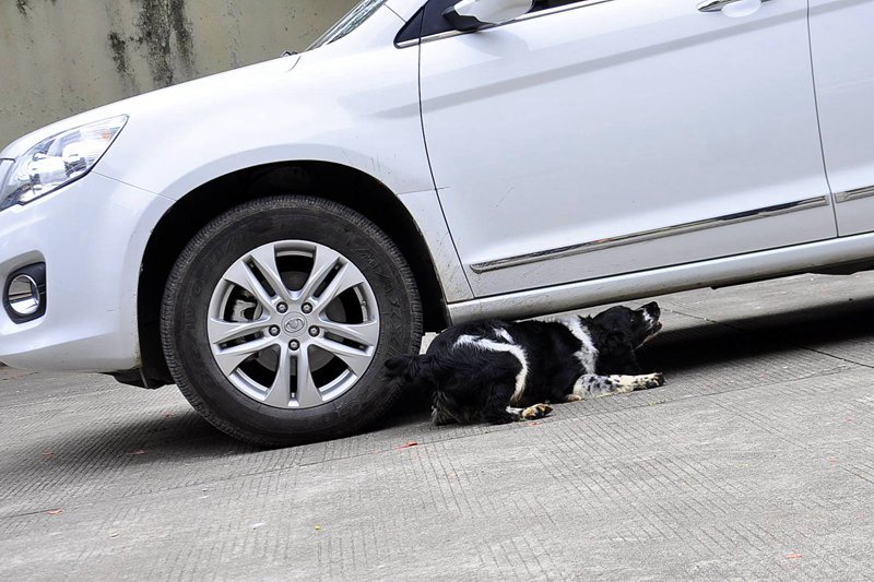 ����ը������ﰡ���ٽƻ��ļ���Ҳ�Ӳ��˾�Ȯ�ı���Ŷ��