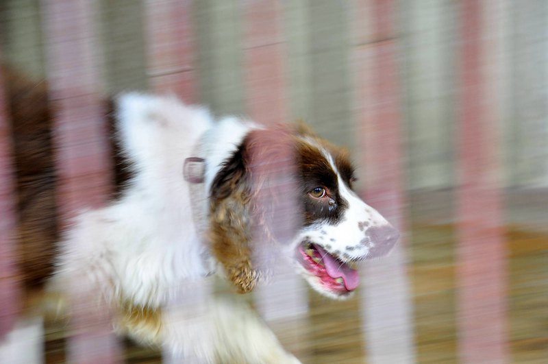 �񱼵���������Ȯ���ѱ���ä������ǿ�