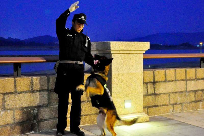 �񾯴����ѱ�Ȯ�ڸ��ݽ�����԰ִ������ʱ��ʱ���οͱ��ݡ����񡱡�