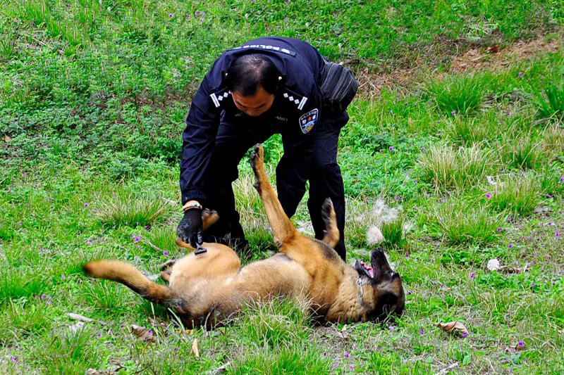 �Ծ�Ȯ���а��ĺǻ�ʹ��Ȯ������Ĭ�������Ρ�