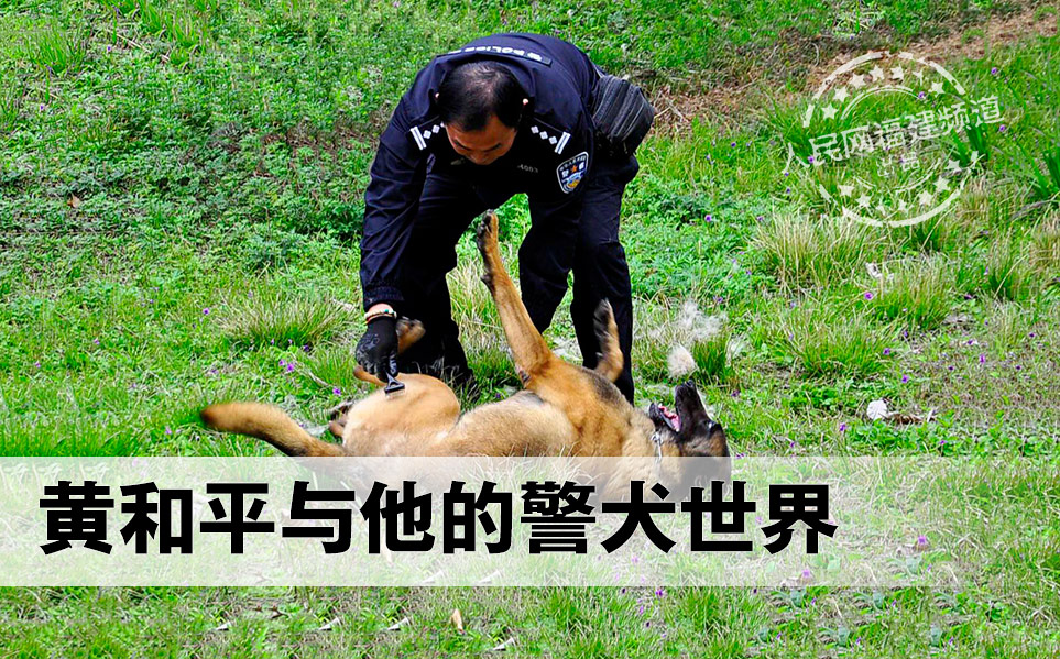 ����ʮ����