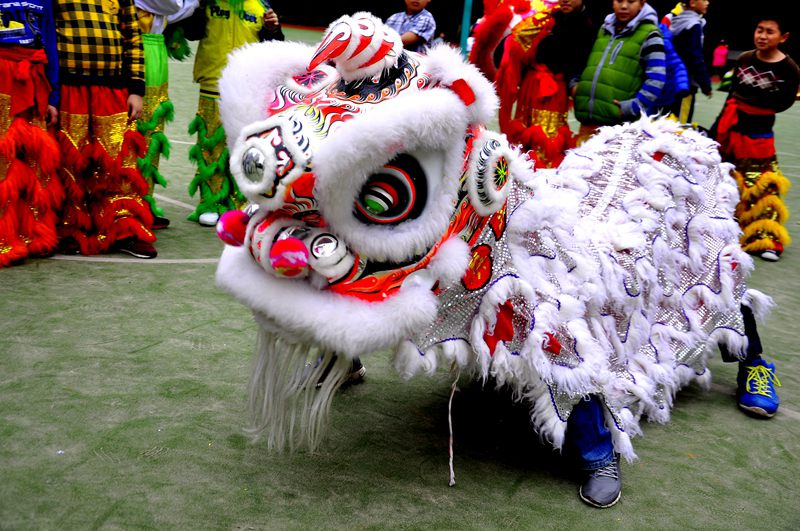 ʨ�Ӱ�̬֮��������