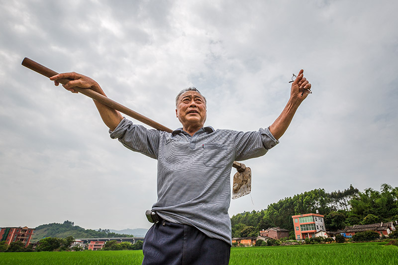 ������8�š���ʡ�׽�ز���������ѡ�б���Ϊ������������1�š�ʡ���������ʺ��ף�ϡ���飩��ѡ��б���Ϊͭ����