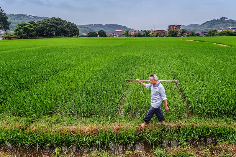 Ϊ�˷�ˮ��Ʒ���������ѹأ����Ⱥ󵽻���ũ�󡢹㶫ũ��Ժ������ũѧԺ������ũ��������̣�Ҳ��������������ּ�л�����������롢���ʴߵȽ��ڵ�ũ����ָ������ֶ���10��ݿƼ���־����ѧϰ�о����������ˮ������ˮƽ��