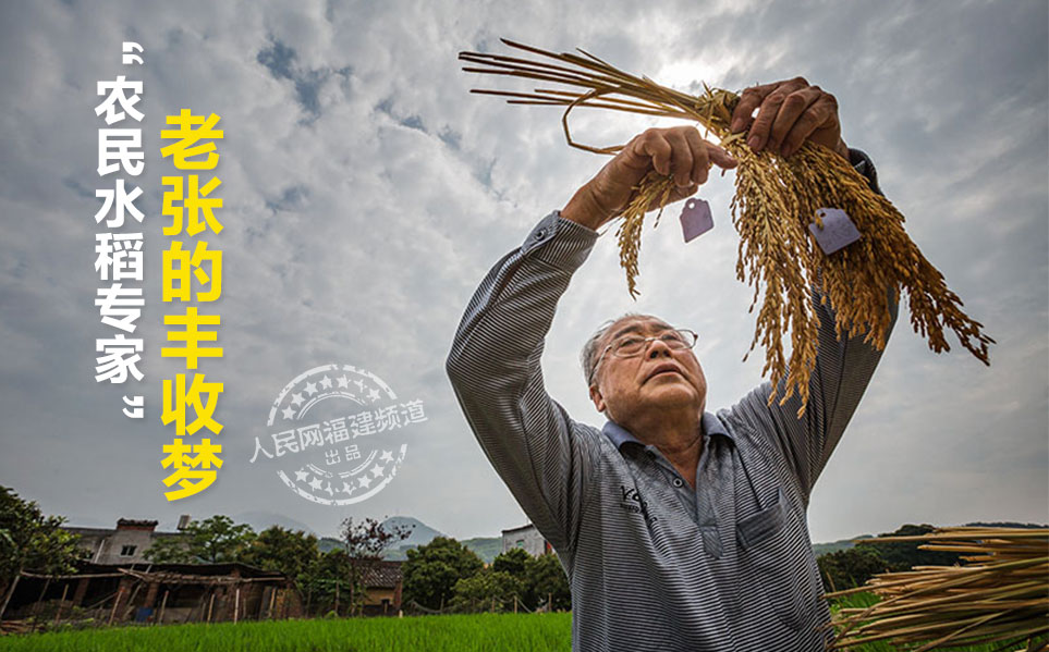 ����ʮ����