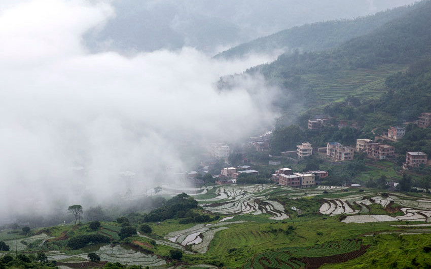 2014��6�£����ٴ�ǰ���Ǹ�������ƶ���壬Ѱ���Ǹ�������С����