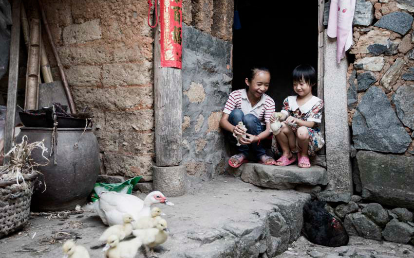 2015�꣬���������Ϻ���ʱ�����������˲����³�Ա��