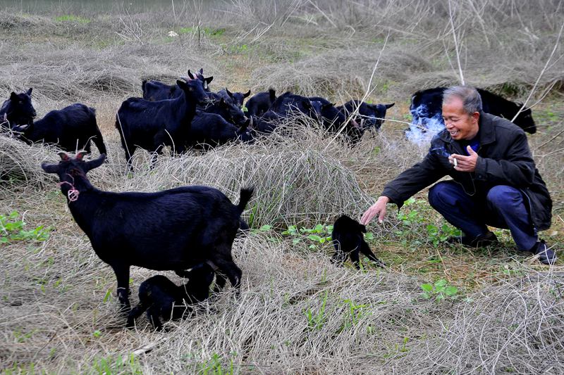 Ȫ������ָ���֣����3ֻ������֣һ·��֣��������ϰ�ֻ����¡�� ��