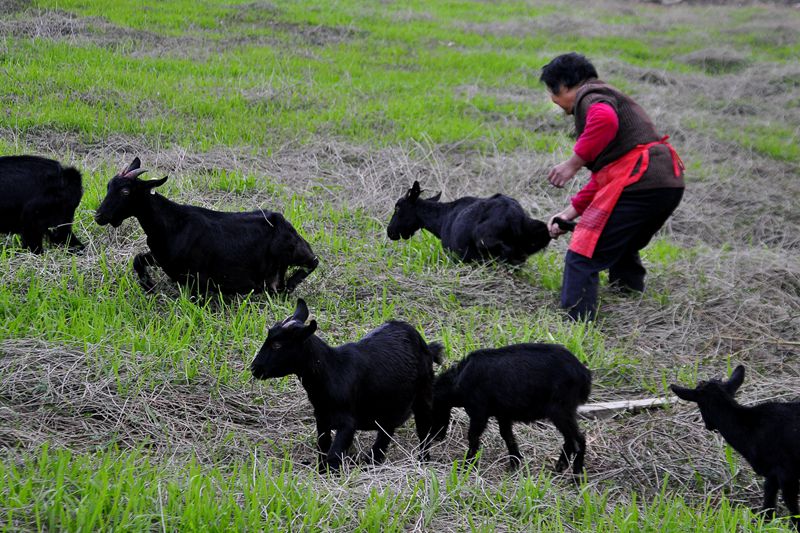 ��֣�����ӻ������������ֽ�����������Ҫ���򾭳��������֡� ��¡�� ��