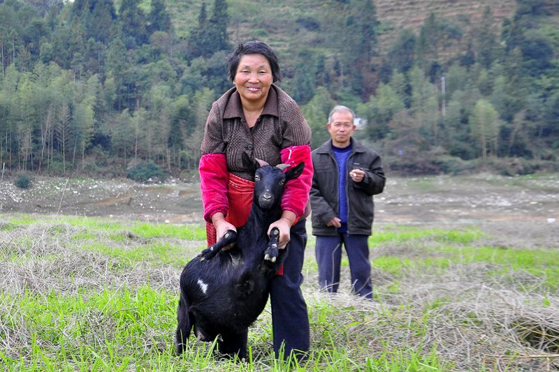 ֣����1993�������۹���������Ѫ������������ͳ������Ʋű�ס��������ɥʧ�˸��ػ�����������ũ���������ӻ��������ϣ�һ�п����͵��ݳ�����æ�������ϴ�ѧ�Ƕ�ʱ�䣬��Ⱥ��������Ѹ�١������򹻵��ϴ�ѧ�ѣ���֣���ܵ���������Ը�����Ҹ��С���¡�� ��