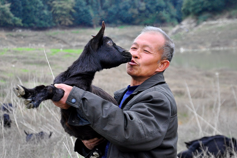 ����̲ˮ�����컣�����֣����ֻ�����ĺ���  ��¡�� ��