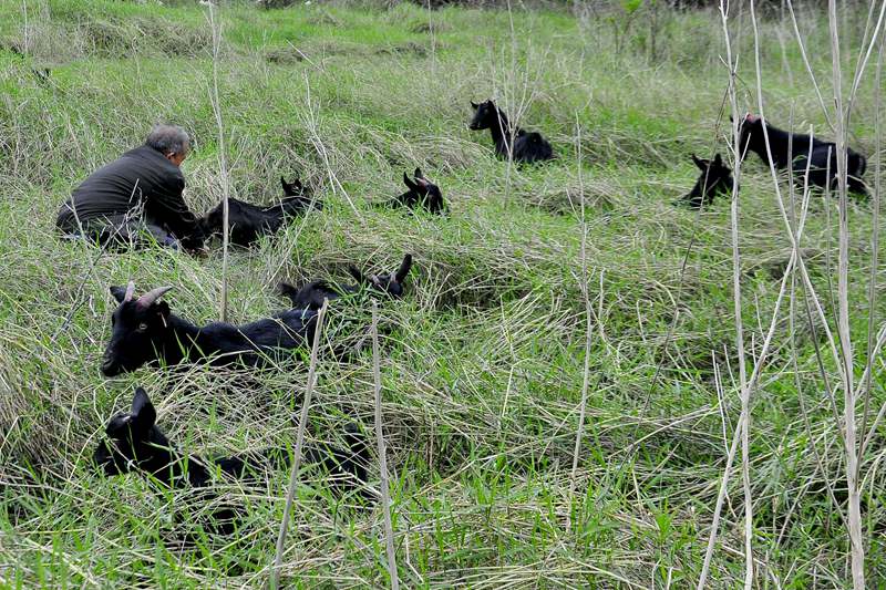 ��֣�����߽���һ�Ѱ�סһֻ��۲콡��״������¡�� ��