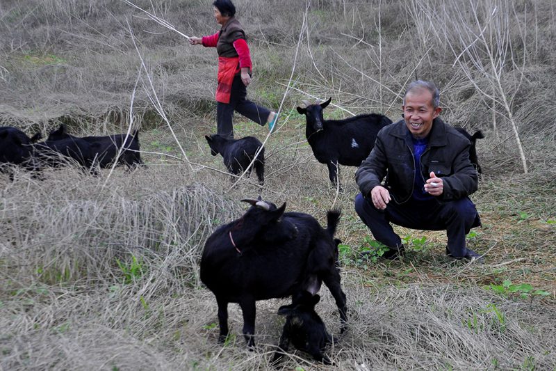 ĸ���������ˣ�������æ�ò����ֺ�����˵������ѧ�Ƕ�ʱ�佻ѧ����Ǯ�࣬��Ⱥ�ƺ��ر��������������̶࣬���ÿ졣 ��¡�� ��