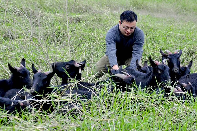 ��֣�Ķ��Ӵ�ѧ��ҵ�μӹ�����������Ⱥ���������С�Сʱ��ĸ�׶�θ�����������������к����ӹ�������С�����ĸ�����ػ����������С��ѧ���������֧������¡�� ��