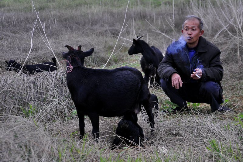 �ԴӺ��Ӵ�ѧ��ҵ�μӹ�����ѹ�������ˣ���֣������̵���Ҳ��߲����ˣ�Ҫ�����������Ҫ�Ҹ���ȫ�ĵط������Ҷ��̵٣��Է��Ż���¡�� ��