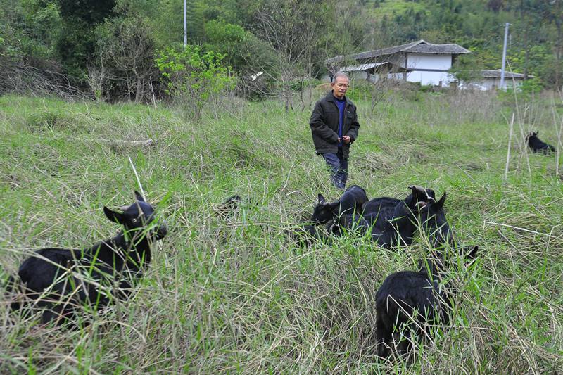 �ڴ�Ӹ�����������֣��Ҫ���ý�����ֹ��Ⱥ��������˵أ������ϵҪ��á���¡�� ��