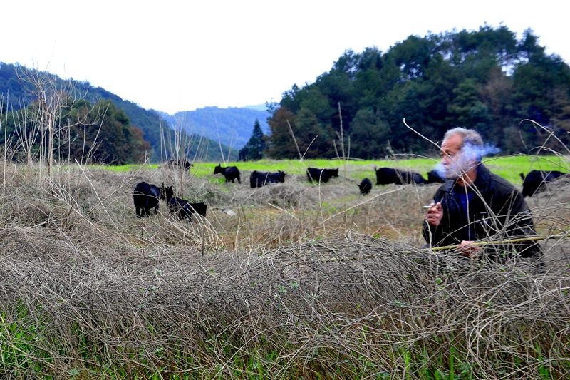 ��֣�ҵ�һ��Զ��˵صĲݳ����������������࣬��������ʱ�����裬��ֹ���˹�Ϯ����Ⱥ�� ��¡�� ��