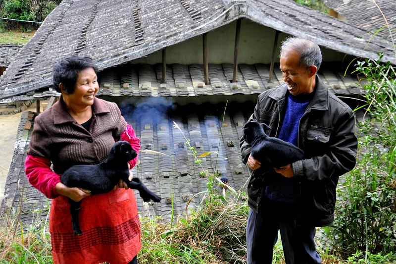 ����С�������Ҳ��������裬����֣����һ���Ӻ��ҡ�  ��¡�� ��