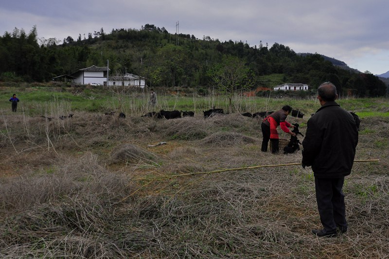 ��ǽ���ߵġ�����ɽ���������磬��������֣��Ҳ��������һ��,���Ǽ��︺���أ����и�����м��Ĵ���Ӵ��ϱ��һֱδ����Ը��  ��¡��  ��