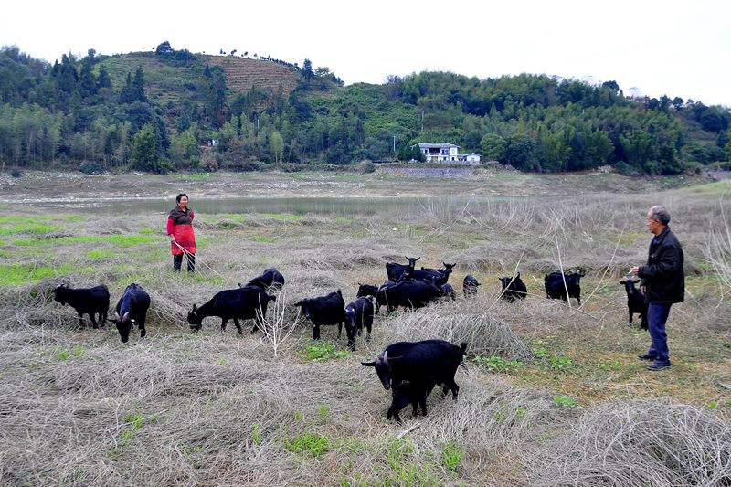 ��ɽ���Ǹ���ʡ�»��������ġ�����Ʒ�ơ�֮һ����֣�򸾵ĺ�ɽ��Ҳ����Ʒ�ƽ���������ǡ���¡�� ��