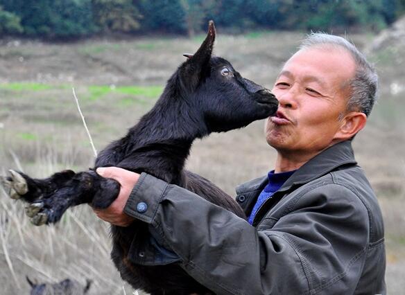 ����ʮ����