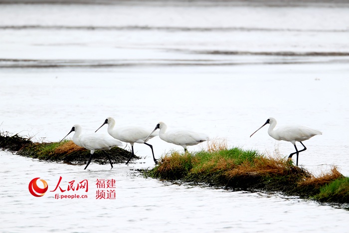 12۲أ괴212ֻ¼¼ ·Ϣ