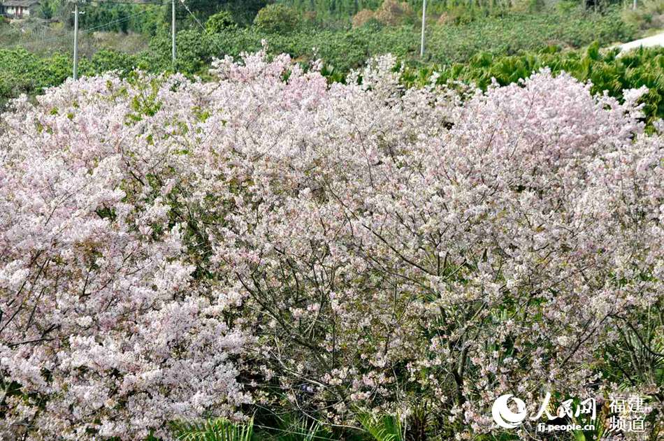 ��������ӣ��԰һ�ǡ���¡�� ��