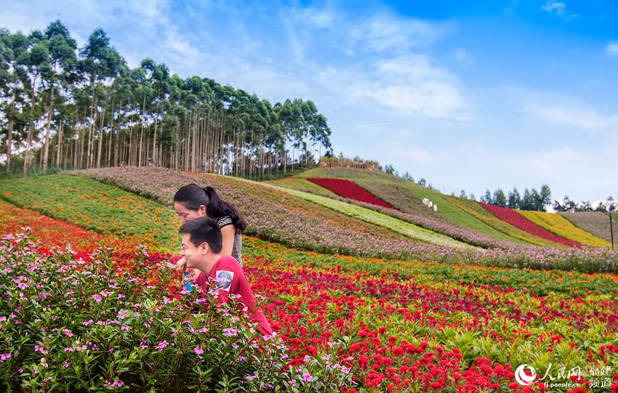 �ʺ绨��������