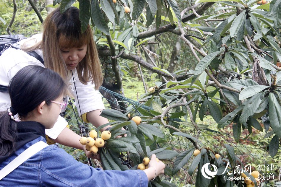 ѧ��������԰�μ����ʵ�������¡�� ��