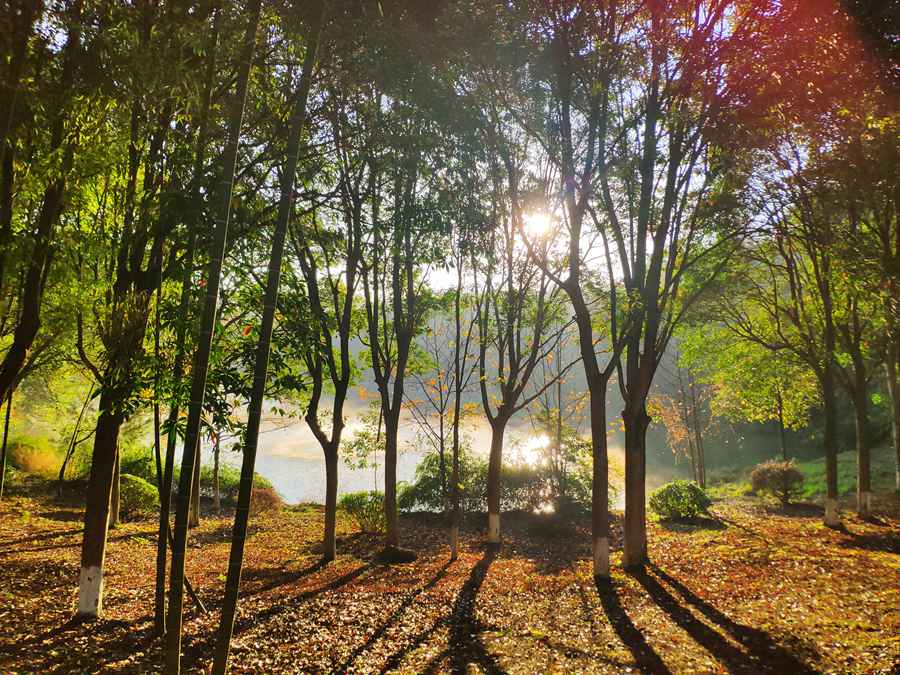 武夷學院數應2018級 彭燕玲攝